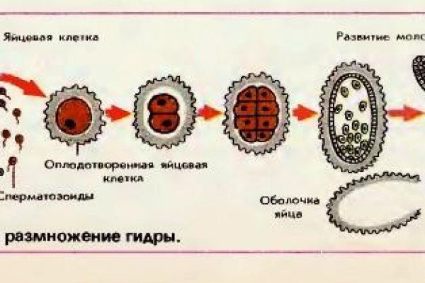 Зайти на кракен через браузер