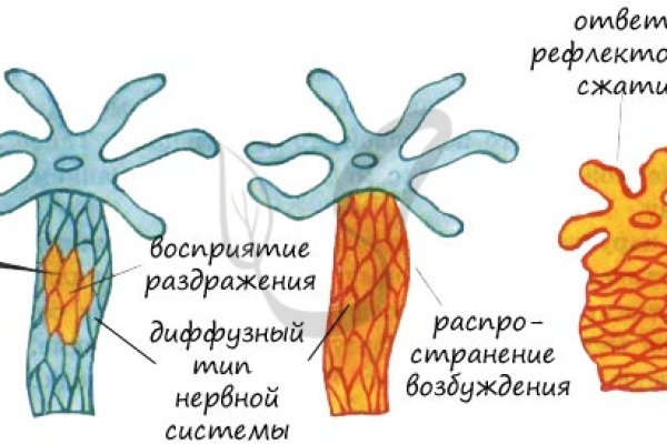 Кракен нарколог